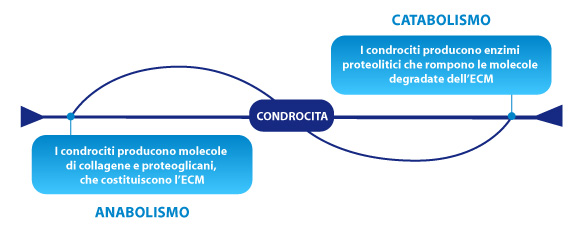 grafico 1