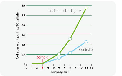grafico 2