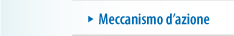 meccanismo d'azione