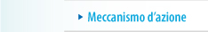 meccanismo d'azione