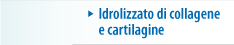 idrolizzato di collagene e cartilagine