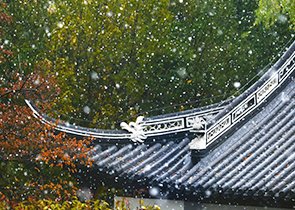 朝阳区樱花园东街2号（100029）